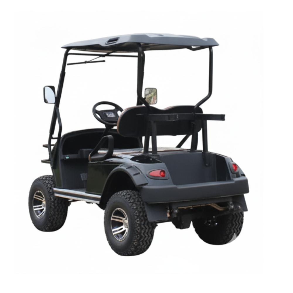 2 Seater E Golf Cart