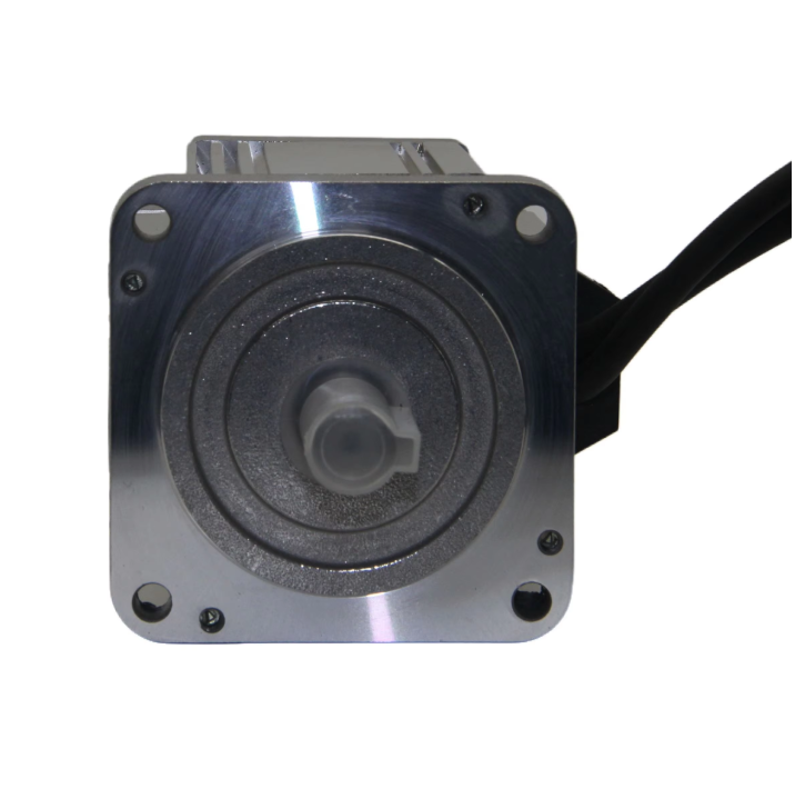 48V Max502W 80BL Electric Vehicle Brushless Geared Motor High Quality High Torque Cheap Price Brushless Electric Motor