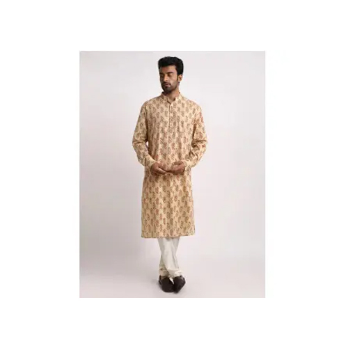Elegant Beige Printed Kurta
