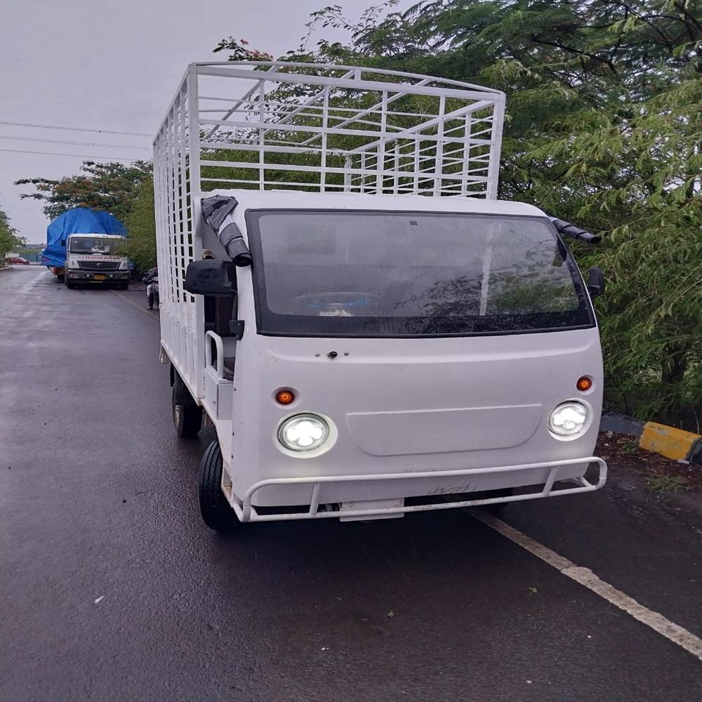 4 Wheeler Electric Loader - Charger Type: Lithium