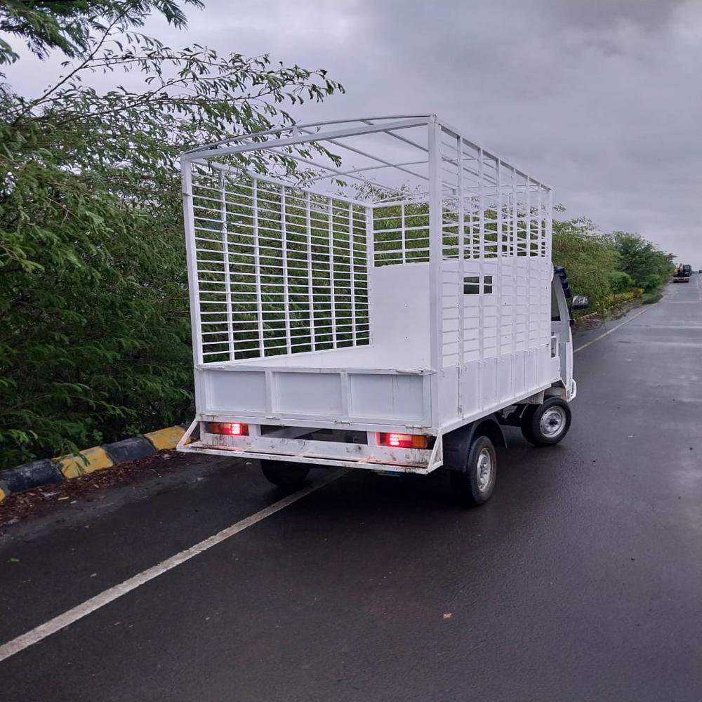 4 Wheeler Electric Loader - Charger Type: Lithium