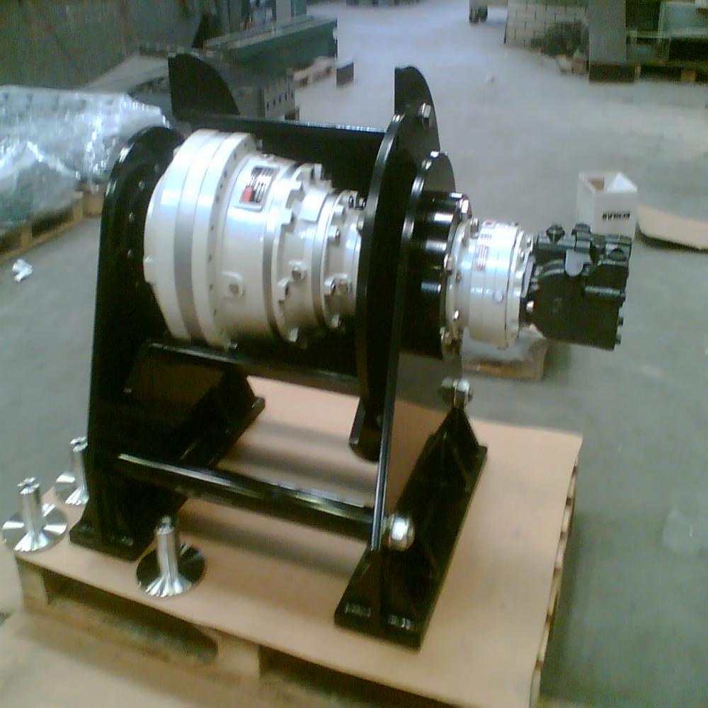 Reggiana Planetary Gearbox