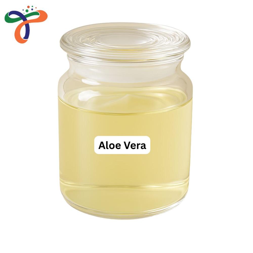 Aloe Vera (aloe Extract at 120.00 INR in Vapi | Triveni Interchem