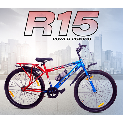 R15 Power 26x300 Rainbow Cycle