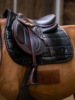 Horse saddle