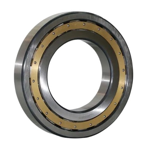 NSK Stainless Steel Cylindrical Roller Bearings