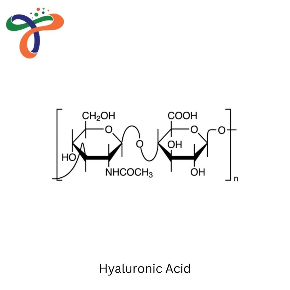Hyaluronic Acid (9004-61-9)