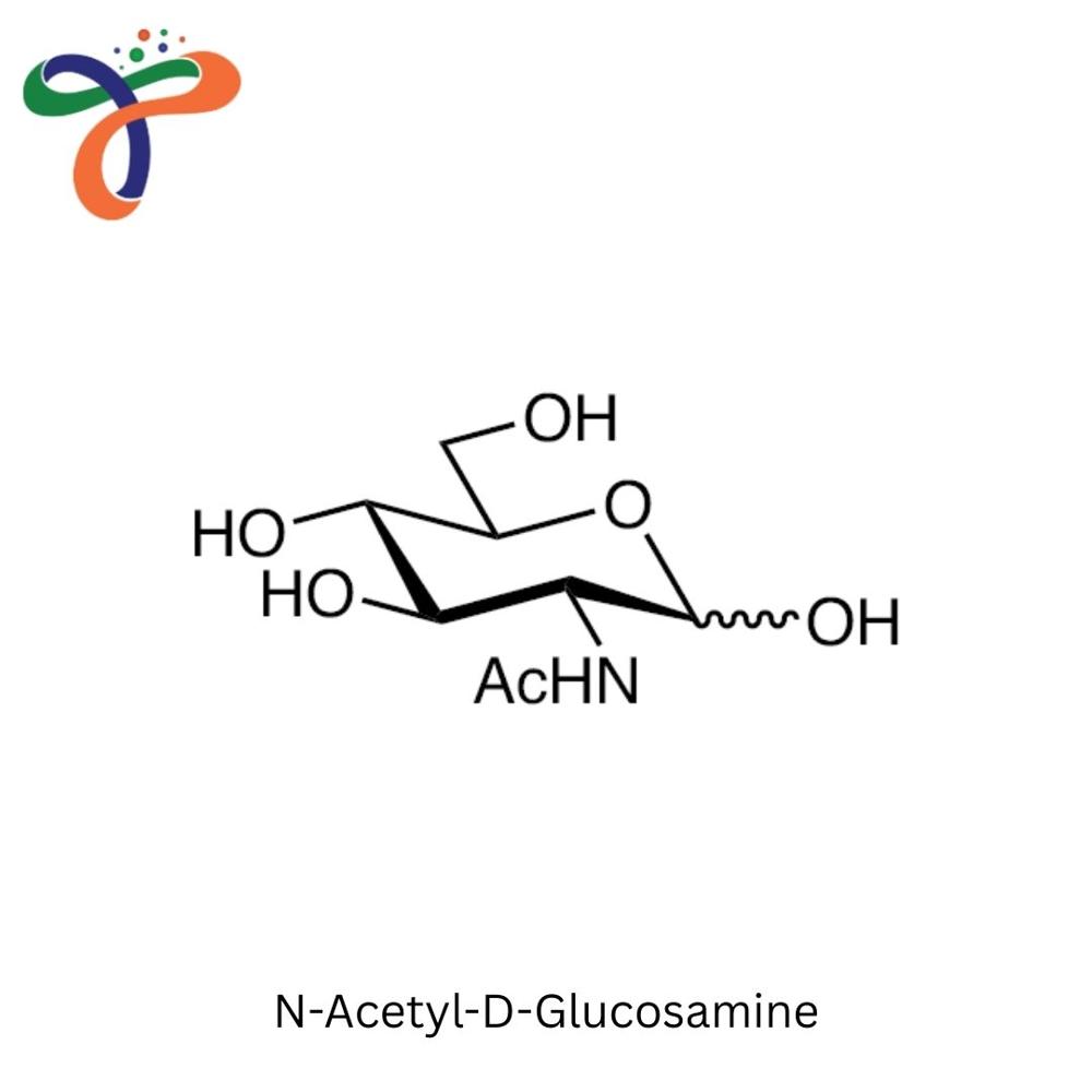 N-Acetyl-D-Glucosamine