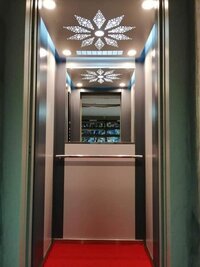 Ms Cabin Lift - Capacity: 50-800 Approx. Kg