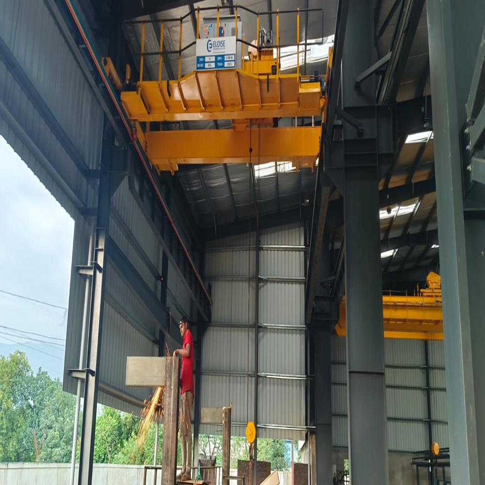 Dg Eot Crane - Load Capacity: 5 Tonne