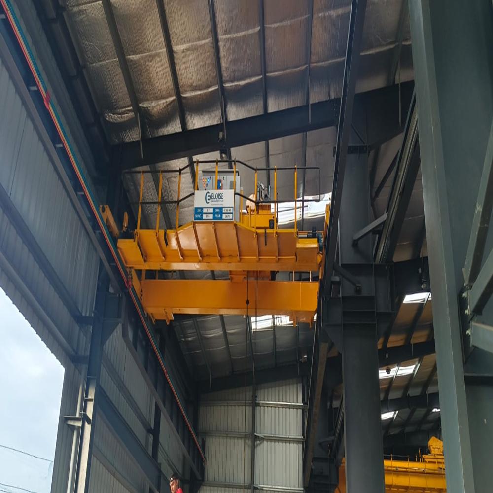 Dg Eot Crane - Load Capacity: 5 Tonne