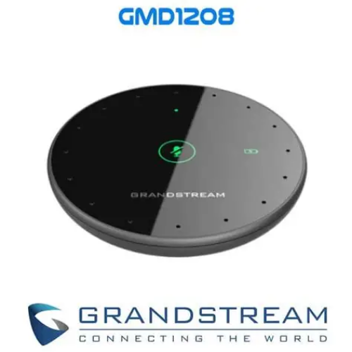 Grandstream GMD1208
