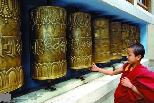 मनाली धर्मशाला टूर पैकेज