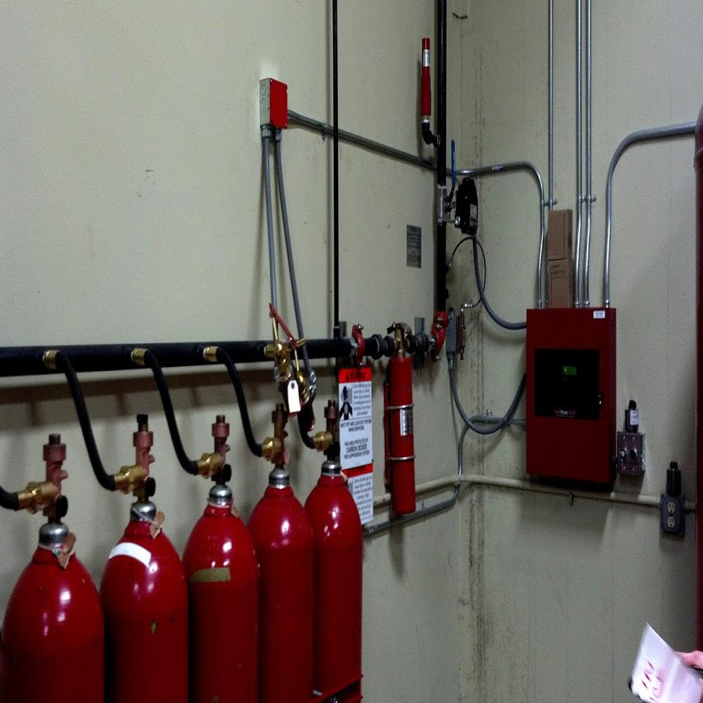 Co2 Fire Protection System - Capacity: Any Kg