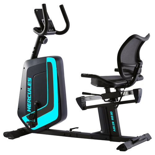 RB 30 Recumbent Bike