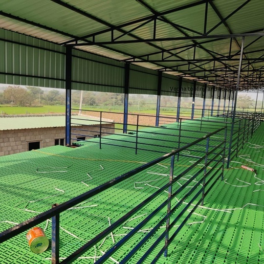 2X2 Green Plastic Selted Flooring