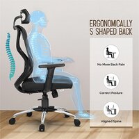 Merlion High Back Mesh Chair