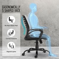Da Urban Maddox Mid Back Mesh Chair