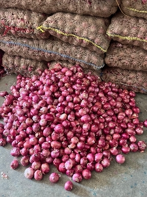 Red onion