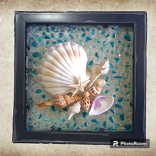 8X8 Big Shells Designer Frame
