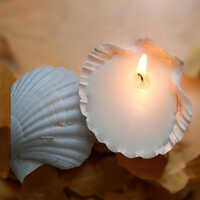 Sea Shell Candle - Color: White