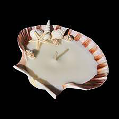 Sea Shell Candle - Color: White