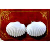 White Shell Earring - Color: Multicolor
