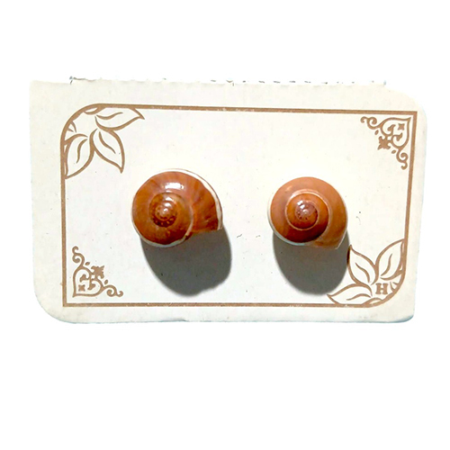 Botton Shell Earring