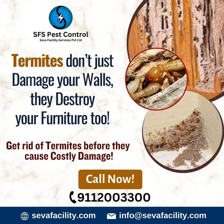 Anti Termite Soil Treatment Services