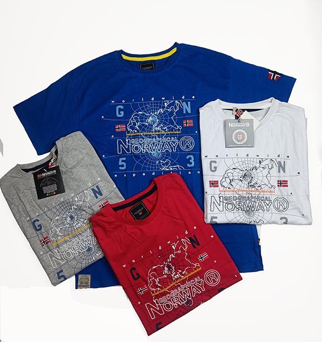 M11457 Mens Printed T-Shirts Assorted