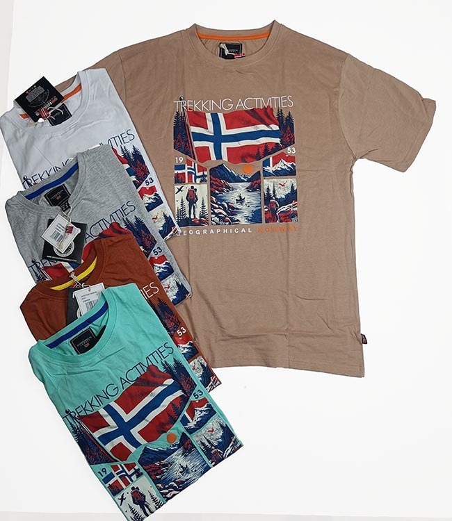 M11457 Mens Printed T-Shirts Assorted