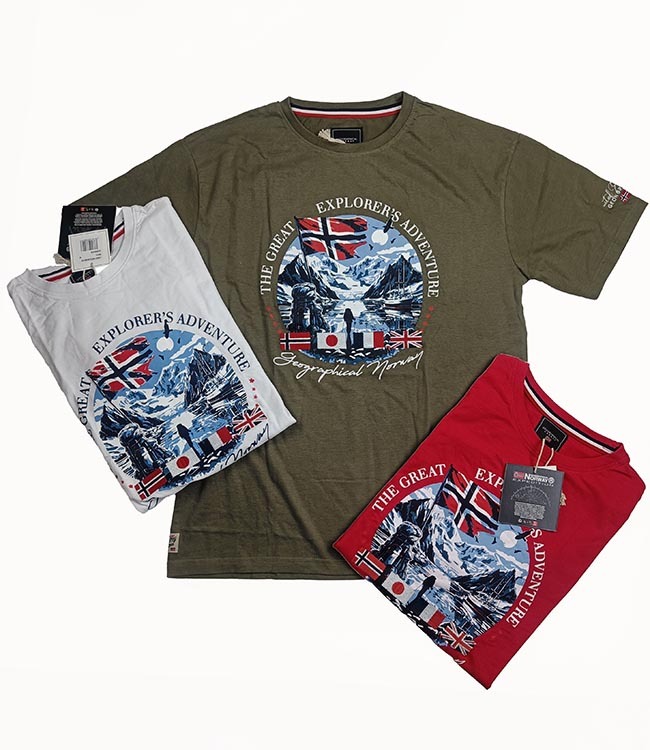 M11457 Mens Printed T-Shirts Assorted