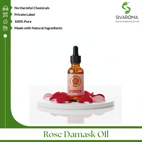 Rose Damask Oil
