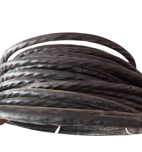 06 Sq Mm 2 Core Aluminium Armoured Cable