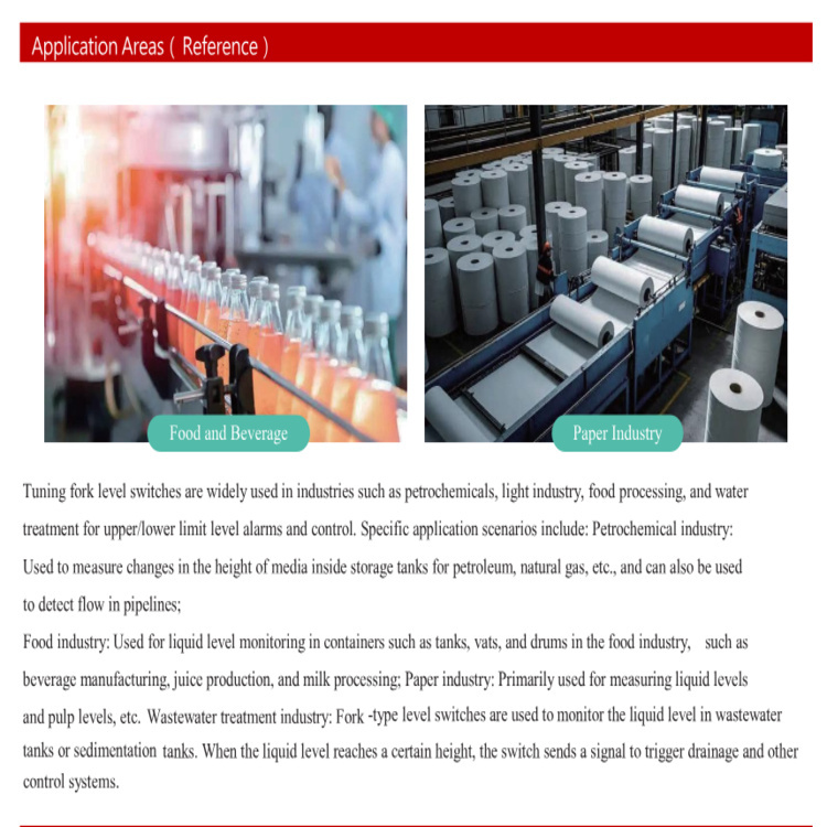 Tuning Fork Level Switch