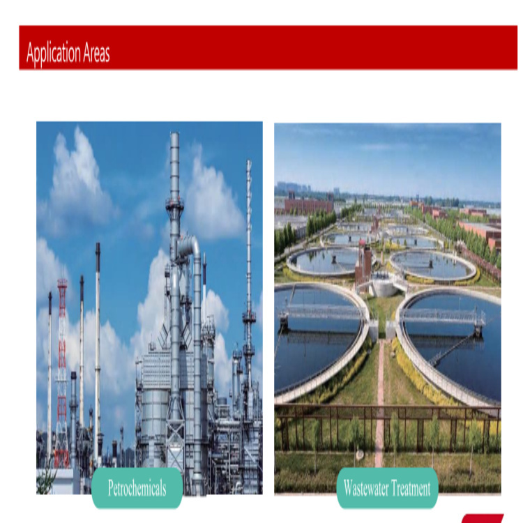 Tuning Fork Level Switch