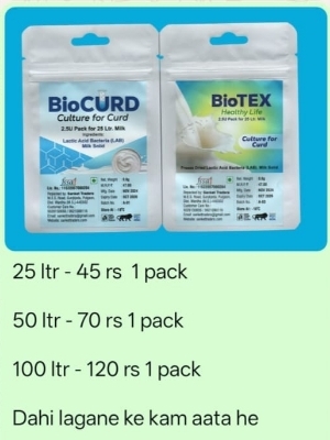 Curd culture