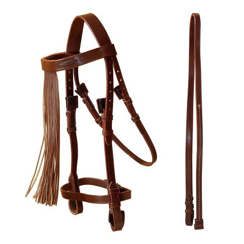 Horse Leather Bridle