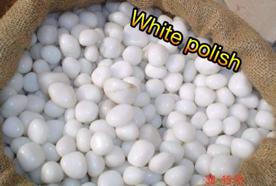 snow white machine polished nursary flower pot decoration small pebbles