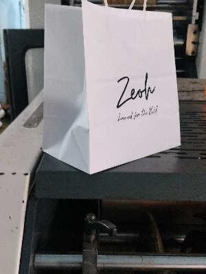 Coustomize printing bags