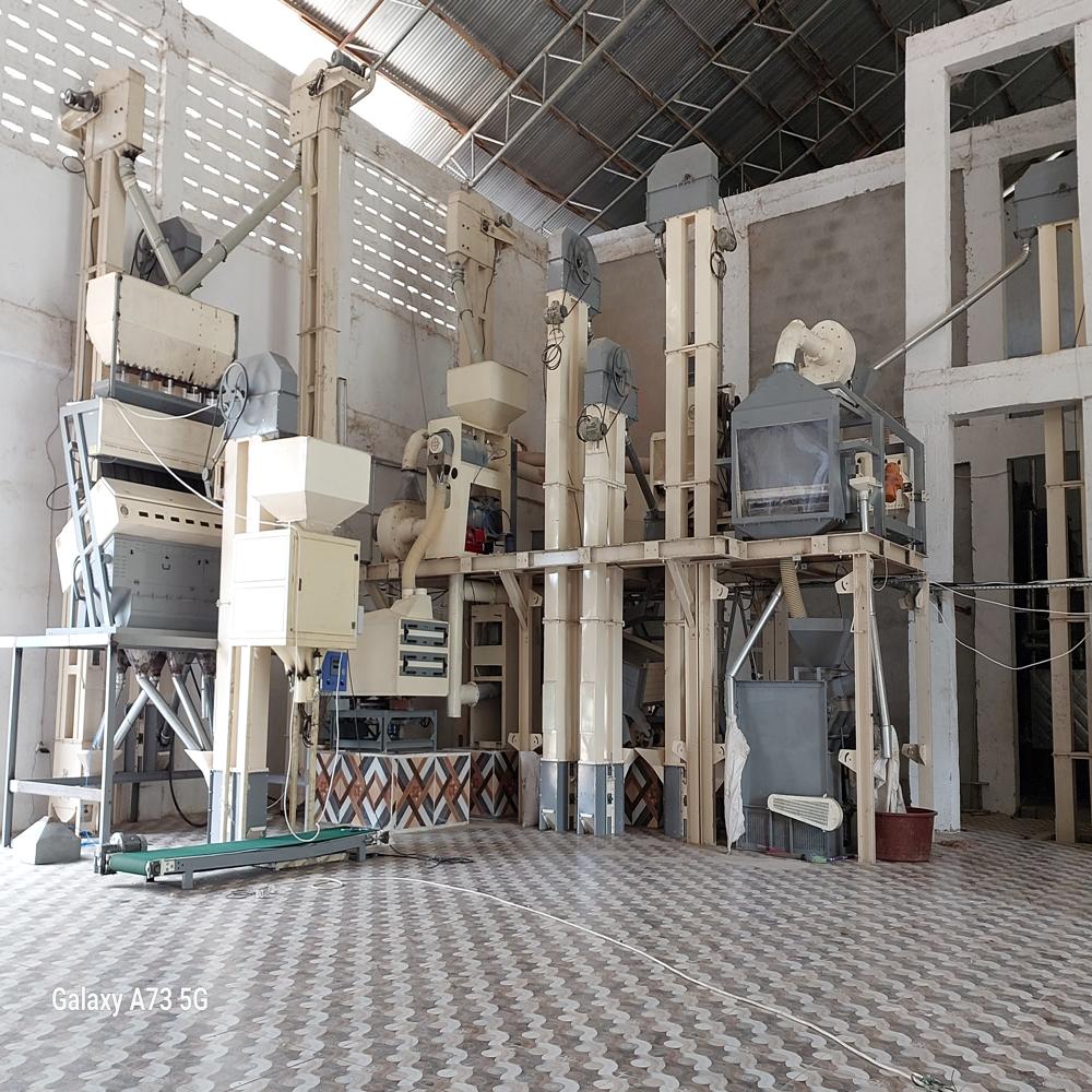 Rice Mill Plants - Automatic Grade: Automatic