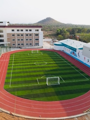 Artificial Grass Turf