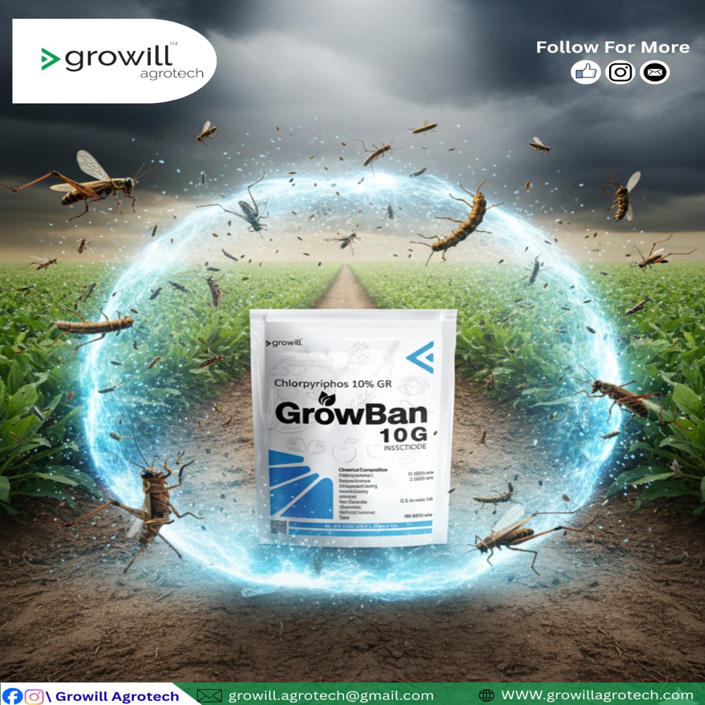 Chlorpyriphos 10% GR