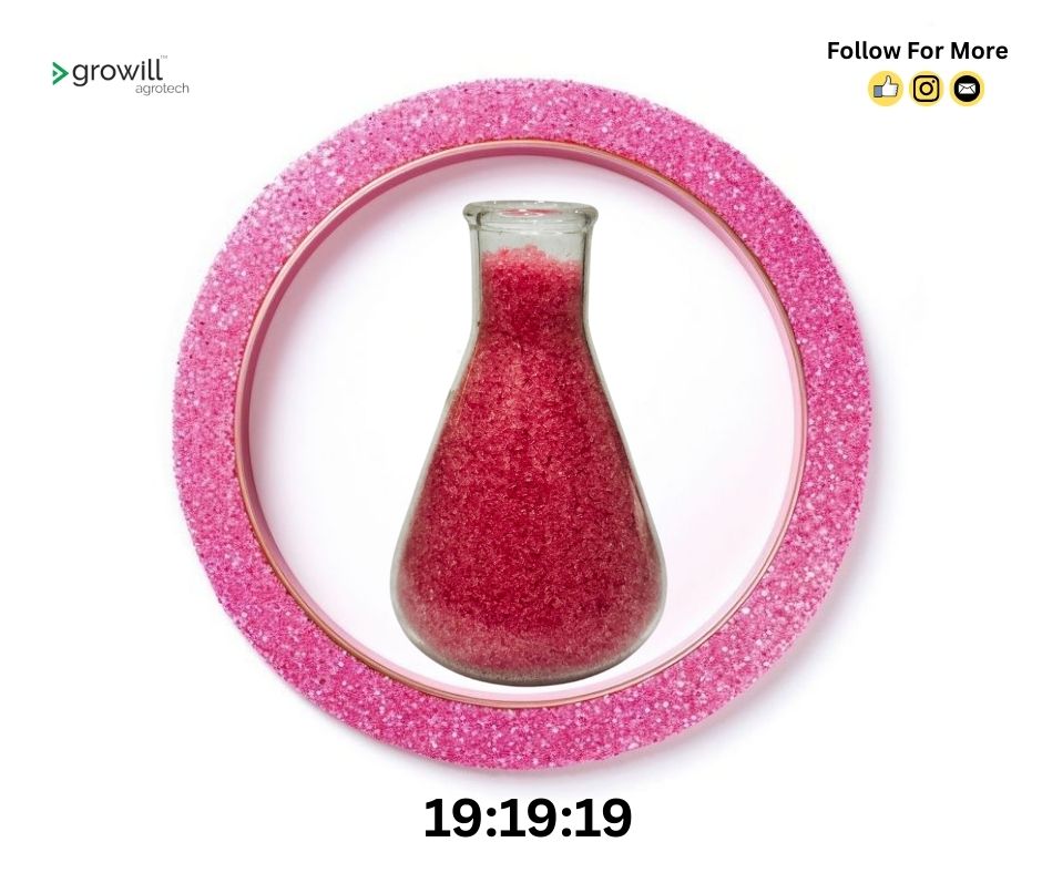 Fertilizer NPK 19:19:19