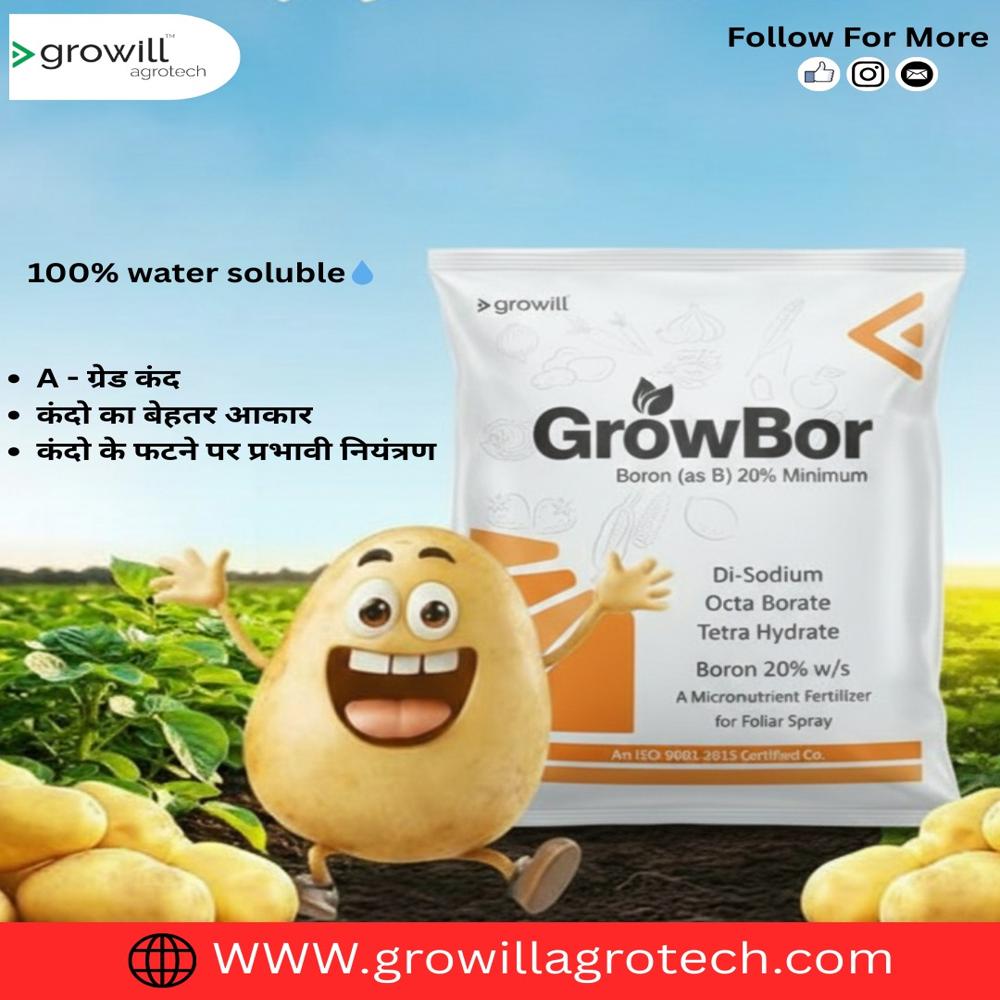 Boron 20% W/s - Application: Agriculture