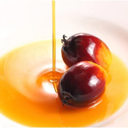 Palm Oil