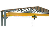 Semi Goliath Crane - Color: Black