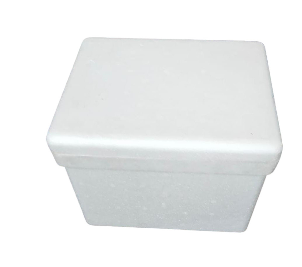 Molded Thermocol Boxes For Shipping - Color: White