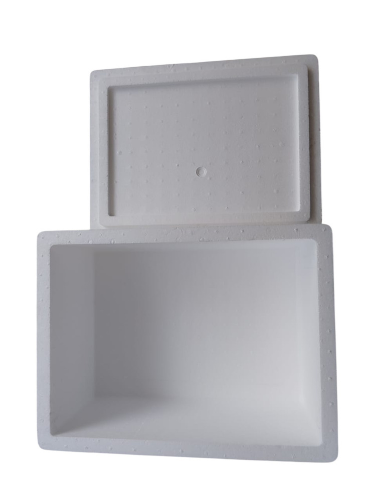 Molded Thermocol Boxes For Shipping