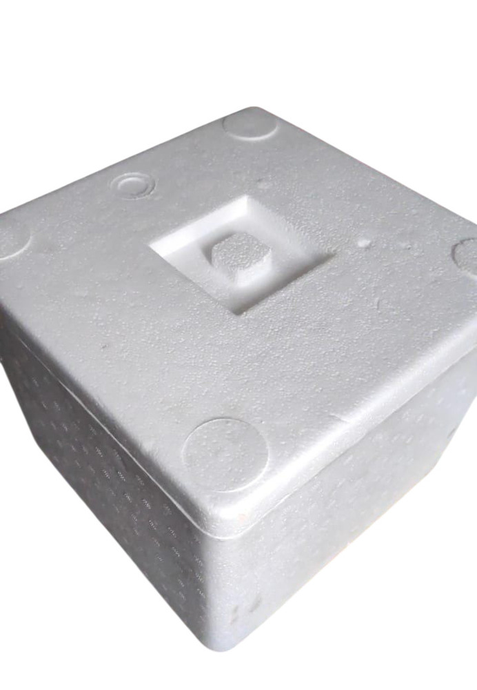 Molded Thermocol Boxes For Shipping